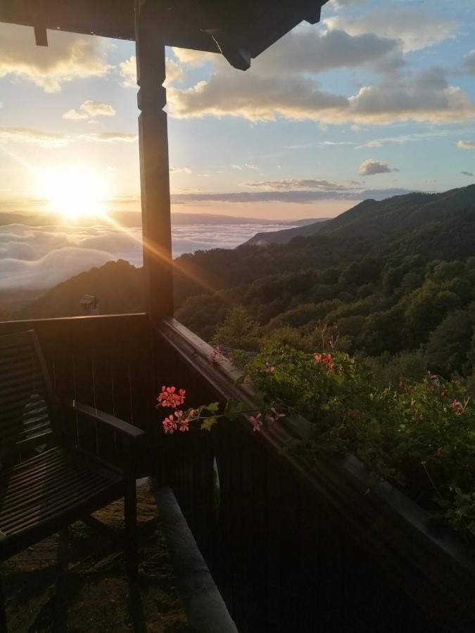 Yancheva Guest House Delchevo المظهر الخارجي الصورة